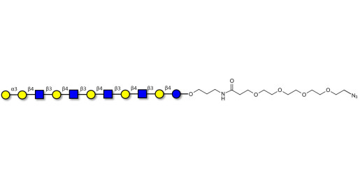 Galili antigen undecaose with terminal azide (Linker-N3 A)