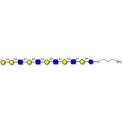 Galili antigen undecaose with free terminal amine (Linker-NH2 A)