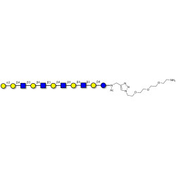 Galili antigen undecaose with free terminal amine (Linker-NH2 B)