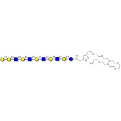Galili antigen undecaose with free terminal amine (Linker-NH2 C)