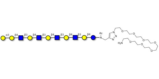 Galili antigen undecaose with free terminal amine (Linker-NH2 C)