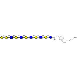 Galili antigen undecaose with free terminal amine (Linker-NH2 D)