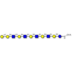 Galili antigen undecaose grafted on OVA