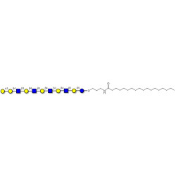 Galili antigen undecaose with stearic chain (Linker-STEA A)