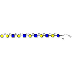 Galili antigen undecaose with terminal alkyne (Linker-CΞCH A)