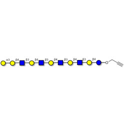 Galili antigen undecaose with terminal alkyne (Linker-CΞCH B)