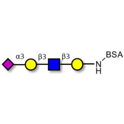 Sialylated tetraose type 1 grafted on BSA