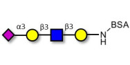 Sialylated tetraose type 1...