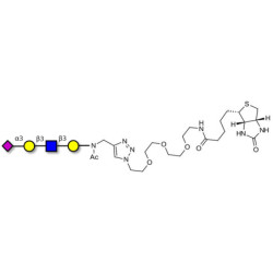 Sialylated tetraose type 1 linked to biotin (Linker-BT A)