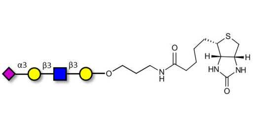 Sialylated tetraose type 1 linked to biotin (Linker-BT B)