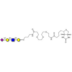 Sialylated tetraose type 1 linked to biotin (Linker-BT C)