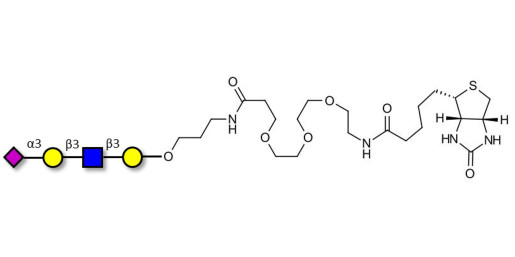 Sialylated tetraose type 1 linked to biotin (Linker-BT C)