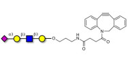 Sialylated tetraose type 1...