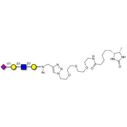 Sialylated tetraose type 1 linked to desthiobiotin (Linker-DBT-A)