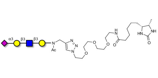 Sialylated tetraose type 1 linked to desthiobiotin (Linker-DBT-A)