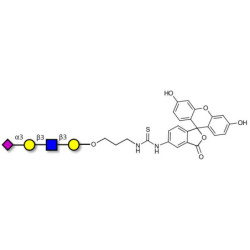 Sialylated tetraose type 1 linked to fluorescein (Linker-FLUO A)