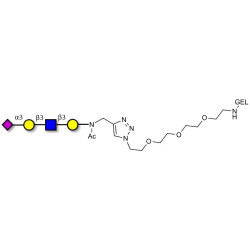 Sialylated tetraose type 1 grafted on gel for affinity chromatography (Linker-GEL A)