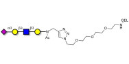 Sialylated tetraose type 1...