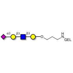 Sialylated tetraose type 1 grafted on gel for affinity chromatography (Linker-GEL B)