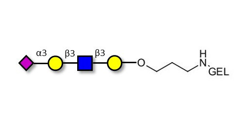 Sialylated tetraose type 1 grafted on gel for affinity chromatography (Linker-GEL B)