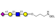 Sialylated tetraose type 1...