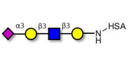 Sialylated tetraose type 1...