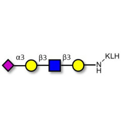 Sialylated tetraose type 1 grafted on KLH