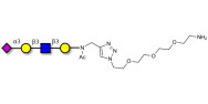 Sialylated tetraose type 1...