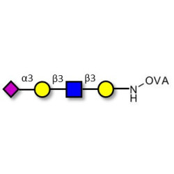 Sialylated tetraose type 1 grafted on OVA