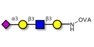 Sialylated tetraose type 1...