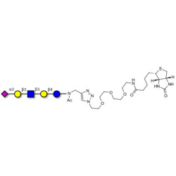 LS-Tetrasaccharide a (LSTa)  linked to biotin (Linker-BT A)