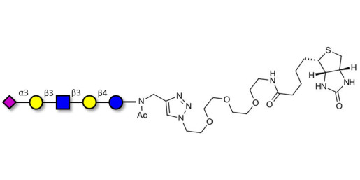 LS-Tetrasaccharide a (LSTa)  linked to biotin (Linker-BT A) - Sialyl-lacto-N-tetraose a ; SLNT-a