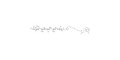 LS-Tetrasaccharide a (LSTa)  linked to biotin (Linker-BT A) - Sialyl-lacto-N-tetraose a ; SLNT-a