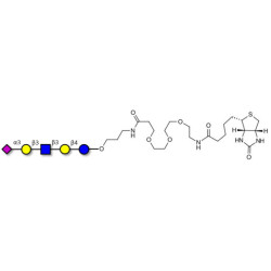 LS-Tetrasaccharide a (LSTa)  linked to biotin (Linker-BT C)