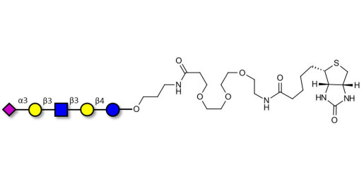 LS-Tetrasaccharide a (LSTa)  linked to biotin (Linker-BT C) - Sialyl-lacto-N-tetraose a ; SLNT-a