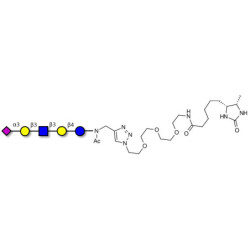 LS-Tetrasaccharide a (LSTa)  linked to desthiobiotin (Linker-DBT-A)