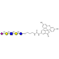 LS-Tetrasaccharide a (LSTa)  linked to fluorescein (Linker-FLUO A)