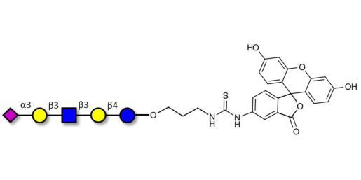 LS-Tetrasaccharide a (LSTa)  linked to fluorescein (Linker-FLUO A) - Sialyl-lacto-N-tetraose a ; SLNT-a