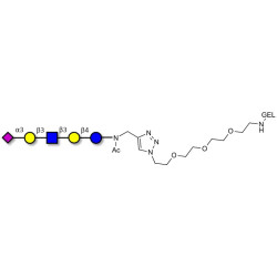 LS-Tetrasaccharide a (LSTa)  grafted on gel for affinity chromatography (Linker-GEL A)
