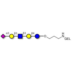 LS-Tetrasaccharide a (LSTa)  grafted on gel for affinity chromatography (Linker-GEL B)