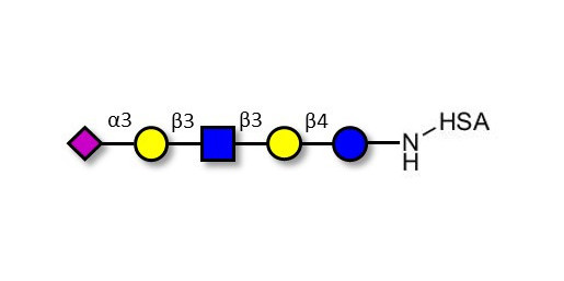 LS-Tetrasaccharide a (LSTa)  grafted on HSA - Sialyl-lacto-N-tetraose a ; SLNT-a