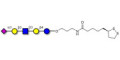 LS-Tetrasaccharide a (LSTa)  with cyclic di-thiol (Linker-LIPO A) - Sialyl-lacto-N-tetraose a ; SLNT-a