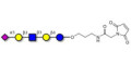 LS-Tetrasaccharide a (LSTa)  linked to maleimide (Linker-MAL A) - Sialyl-lacto-N-tetraose a ; SLNT-a