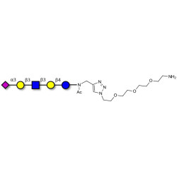 LS-Tetrasaccharide a (LSTa)  with free terminal amine (Linker-NH2 B)
