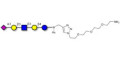 LS-Tetrasaccharide a (LSTa)  with free terminal amine (Linker-NH2 B) - Sialyl-lacto-N-tetraose a ; SLNT-a