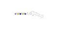 LS-Tetrasaccharide a (LSTa)  with free terminal amine (Linker-NH2 C) - Sialyl-lacto-N-tetraose a ; SLNT-a
