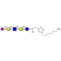 LS-Tetrasaccharide a (LSTa)  with free terminal amine (Linker-NH2 D)