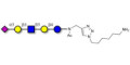 LS-Tetrasaccharide a (LSTa)  with free terminal amine (Linker-NH2 D) - Sialyl-lacto-N-tetraose a ; SLNT-a