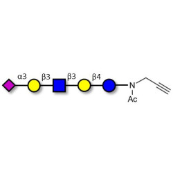 LS-Tetrasaccharide a (LSTa)  with terminal alkyne (Linker-CΞCH A)