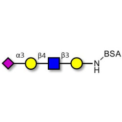 Sialylated tetraose type 2 grafted on BSA